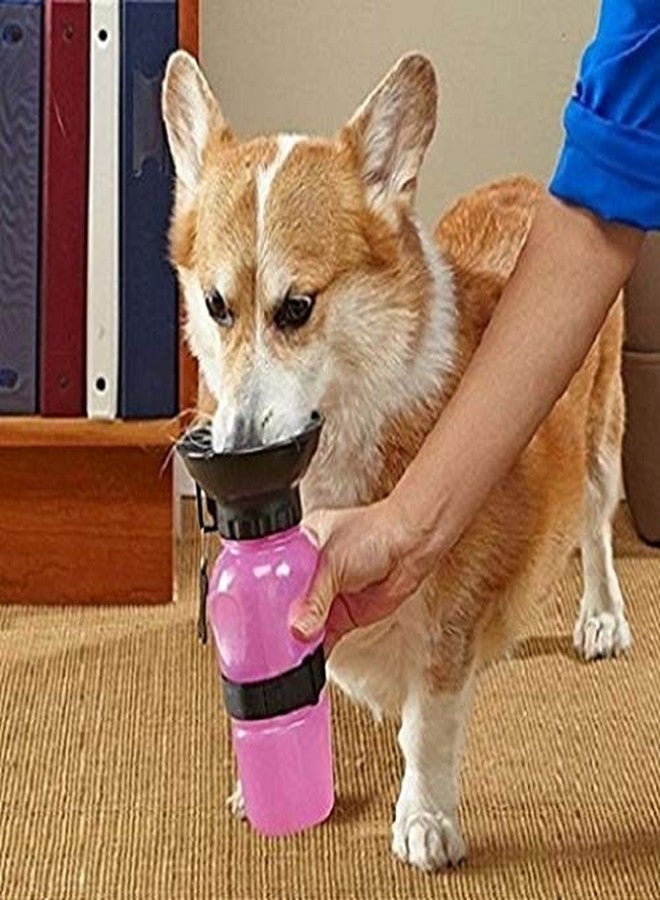 Bluwings Portable Dog Cat Travel Water Bottle with Bowl for Indoor Outdoor Places (Multicolor) - Image 5